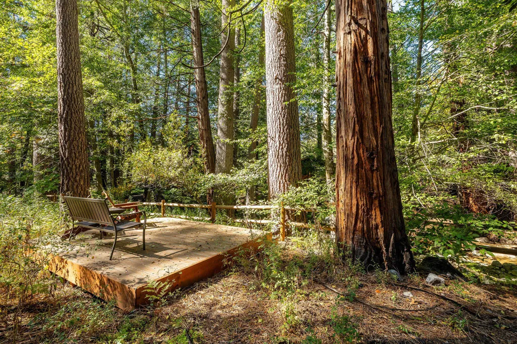 54160 S Circle Drive, Idyllwild, California 92549 home-pic-22